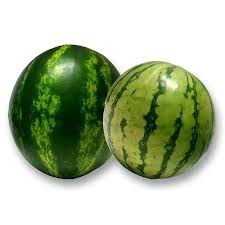 SANDIA PERSONAL