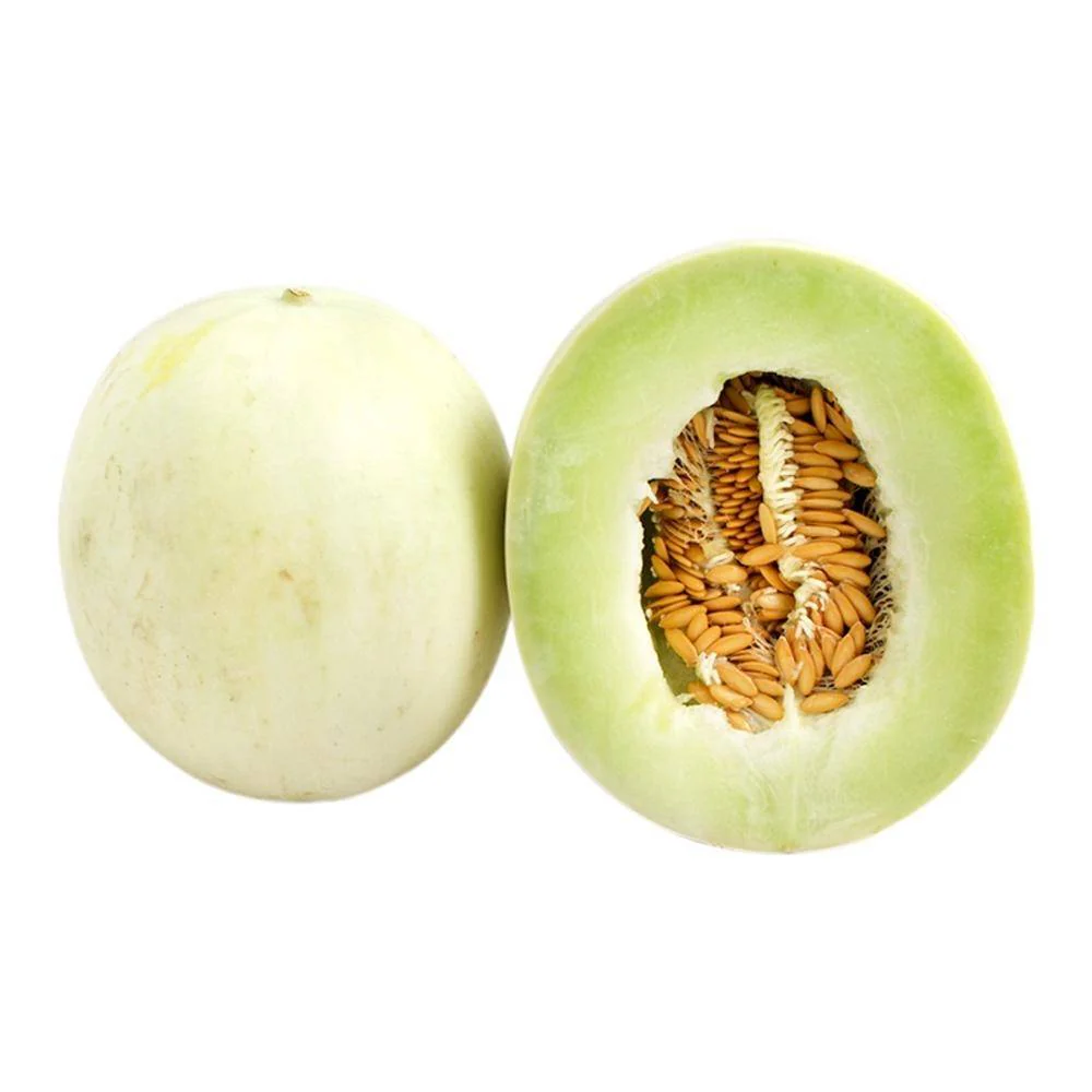MELON VALENCIANO