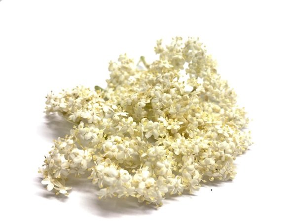 FLOR COMSTIBLE ( SAUKO)